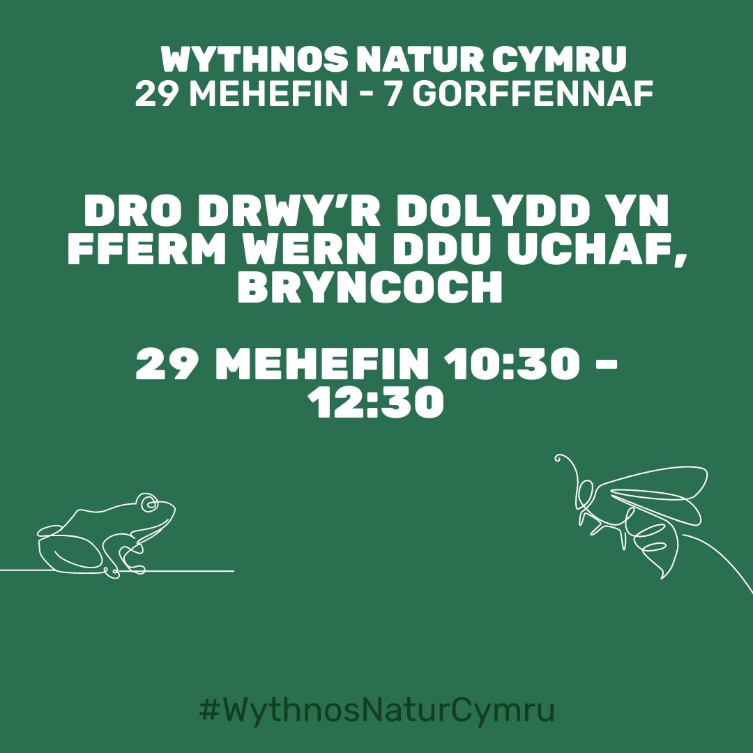 Dro Drwy’r Dolydd Bryncoch 